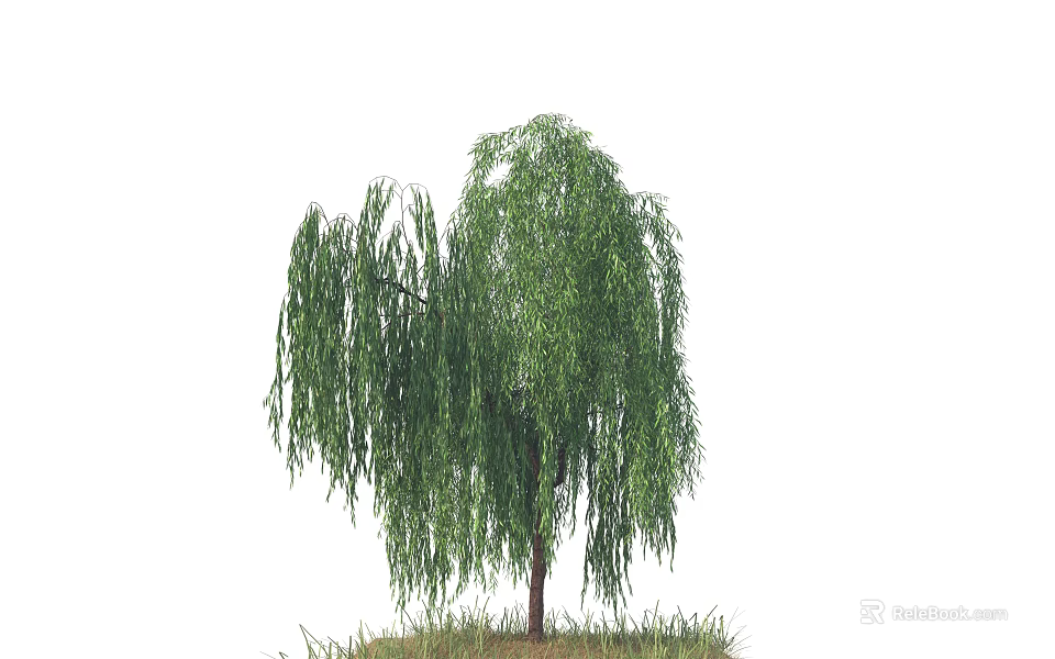 Weeping Willow Arbor With Long Drooping Branches Lush Green Leaves And Brown Trunk On Grass 3d model 
