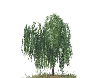 Weeping Willow Arbor With Long Drooping Branches Lush Green Leaves And Brown Trunk On Grass 3d model