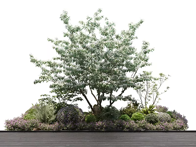 Diverse Garden Shrubs For Landscaping With Evergreen Foliage Flowering Blooms And Colorful Hedges 3d model