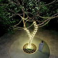 Outdoor String Lights Wrapped Around Tree For Nighttime Garden Decoration 3d model