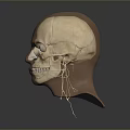 Characters Game Characters Game Characters Realistic Characters Cartoon Characters Handmade Cartoon Handmade 3d model