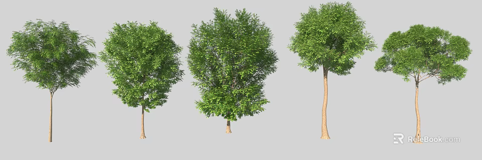 Three Arbor Trees With Green Foliage And Different Trunk Shapes 3d model
