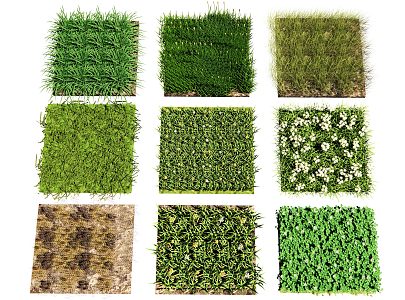 turf lawn clover grass haystack green plant grass slope green vegetation outdoor weed 3d model