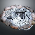 Outdoor Stone Circle Fire Pit With Wood Logs And Ash