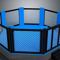 Octagonal Home Fitness Cage With Blue Mat Black Fence And Steps