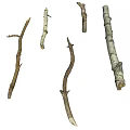 Natural Wooden Branches With Various Shapes And Textures On Black Background
