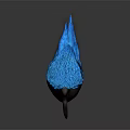 Glossy Black Bird With Long Beak And Blue Gradient Wings