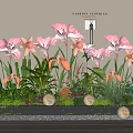 Bonsai Potted Plant Display With Pink Flowers Green Foliage Black Planter And White Pebbles