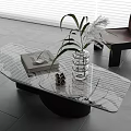 Modern Glass Coffee Table With Decorative Vase Plant And Book In Living Space
