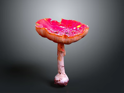 Detailed Human Skin Organ With Natural Hair Follicles And Smooth Texture 3d model