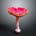 Detailed Human Skin Organ With Natural Hair Follicles And Smooth Texture