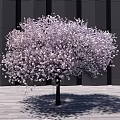 Modern Tree Landscape Tree 3d model