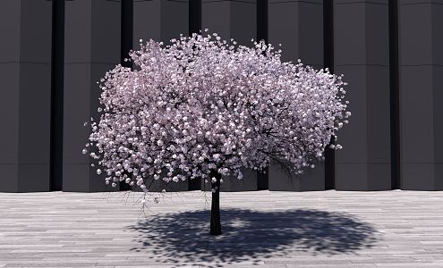 Modern Tree Landscape Tree 3d model