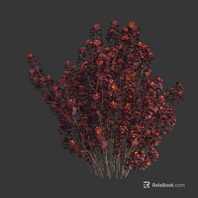 Ornamental Garden Shrub Featuring Vibrant Red And Purple Dense Foliage Leaves For Landscaping 3d model 