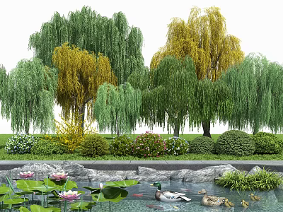 Green and Yellow Willow Trees by Pond with Water Lilies Bushes Flowers and Ducks 3d model
