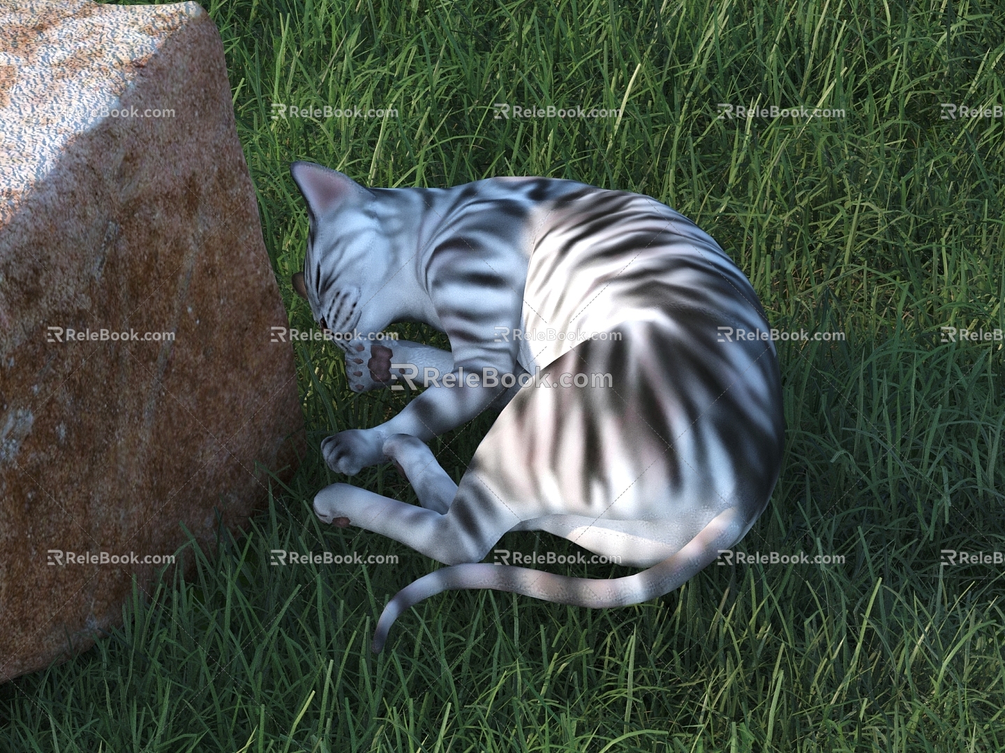 cat animal poultry 3d model