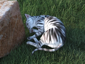 cat animal poultry 3d model