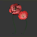 Vibrant Red Flowers With Green Stems And Round Green Bases On Gray Background
