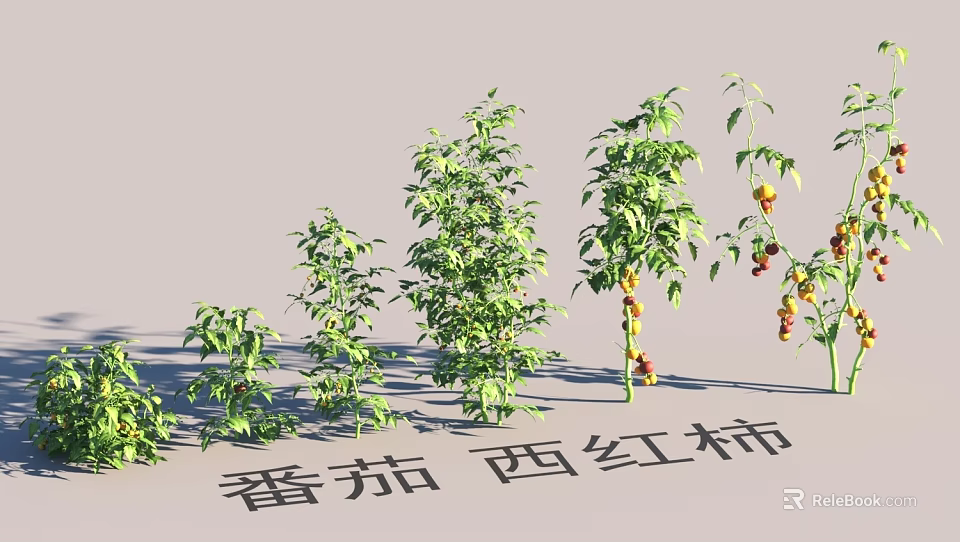 Garden Landscape Featuring Tomato Plants With Various Heights Ripe Fruits And Green Leaves 3d model 