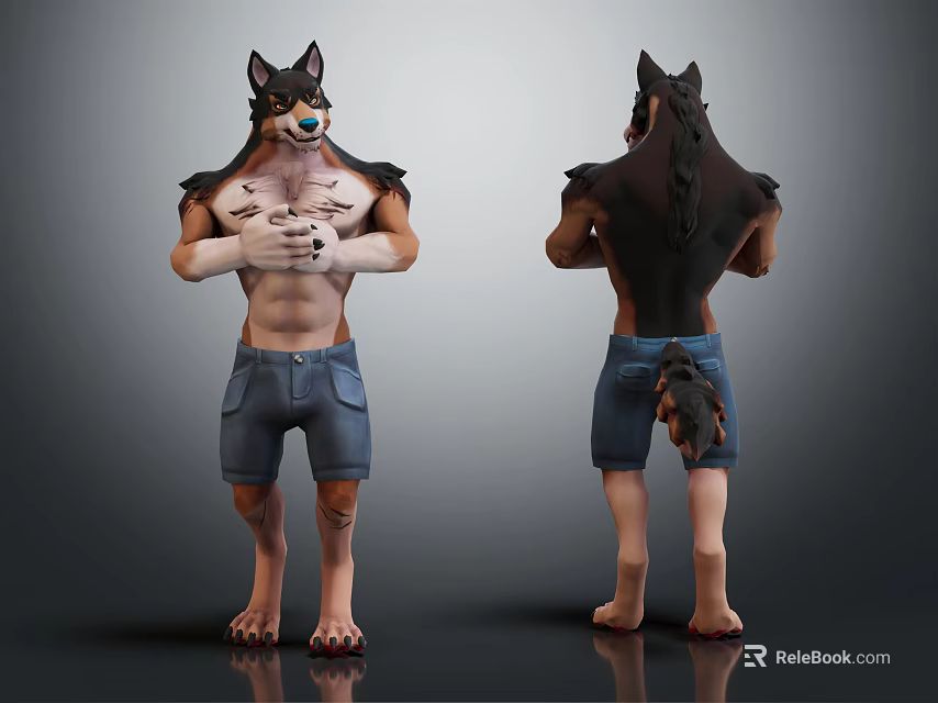 Anthropomorphic Wolf Character Front And Back Views With Blue Denim Shorts Standing Pose Muscular Torso 3d model 