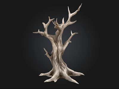 Dry Tree Trunk With Multiple Branches And Grayish White Texture On Black Background 3d model