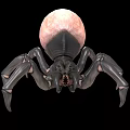 3D Spider Model With Pink Spherical Abdomen And Black Body Long Legs On Black Background