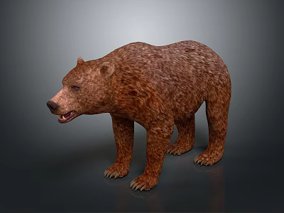Realistic 3D Model of Brown Bear With Detailed Fur and Standing Pose 3d model