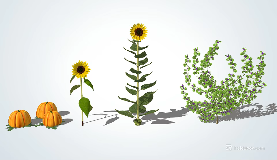 Vibrant Sunflowers Pumpkins And Lush Green Shrubs In Natural Plant Arrangement 3d model 