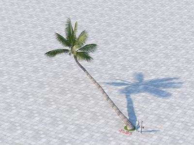 Tall Palm Tree With Slanted Trunk Green Fronds On Gray Brick Pavement Casting Long Shadow 3d model