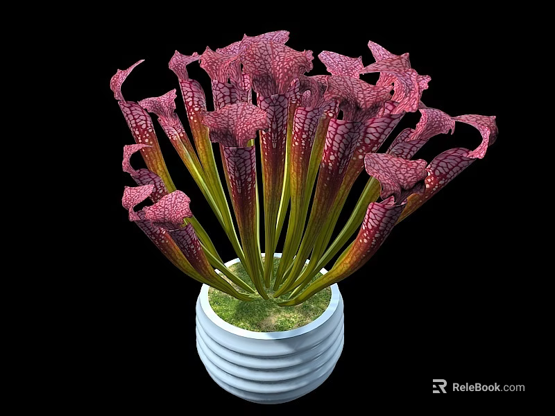 Purple Red Trumpet Shaped Bonsai Potted Plant In White Striped Pot With Green Moss 3d model 