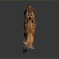 Realistic Spotted Hyena Standing in Studio with Gray Background and Detailed Fur