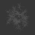 Green Herbaceous Plants with Slender Leaves Growing in Clusters Against Black Background