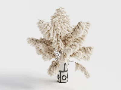 Pampas Grass Decorative Arrangement In Black White Geometric Vase For Home 3d model