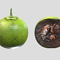 Modern fruit black meat persimmon 3d model