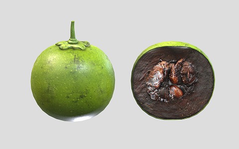 Modern fruit black meat persimmon 3d model