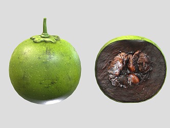 Modern fruit black meat persimmon 3d model