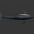 Origami Dolphin Model In Blue And White With Sleek Design And Reflective Surface