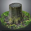 Tree Stump Surrounded By Green Moss Small Plants And Natural Ground Elements