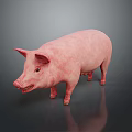 Pink Pig 3D Model Standing On Gray Background With Reflective Surface 3d model