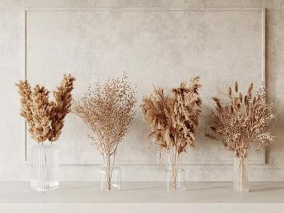 Transparent Glass Vases With Natural Dried Flowers On Light Colored Wall Tabletop 3d model