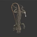 Lizard With Detailed Skin And White Spots Lying On Smooth Surface Against Black Background