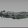 Wood Stone with Green Moss White Spots and Natural Texture on Black Background