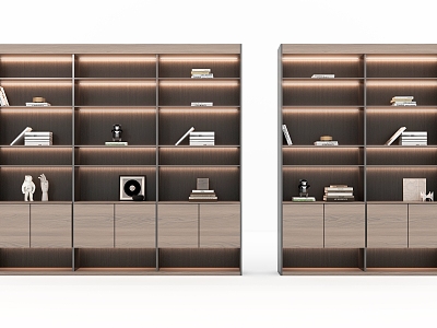 Modern bookcase model