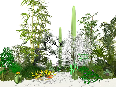 Lush Garden Landscape With Bamboo Cactus Palm Trees Green Plants Colorful Flowers And White Gravel 3d model