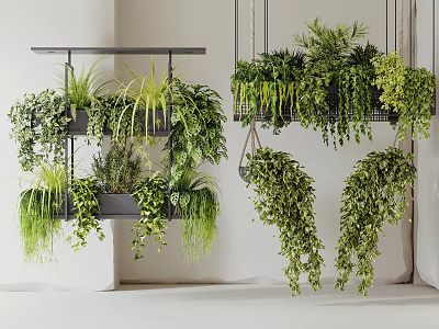 Lush Green Hanging Planters With Trailing Plants For Indoor Home Decor 3d model