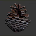 Close Up View Of Natural Pine Cone With Brown Scales And Textured Surface
