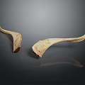 Two Natural Animal Horns With Textured Surface On Dark Background And Reflection