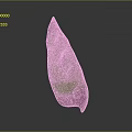 Colorful Leaf Shaped Food Slice With Vibrant Green Pink And Purple Hues