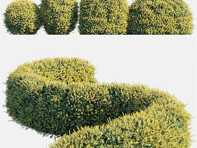Decorative Trimmed Bushes Round and Spiral Shaped for Garden Landscaping 3d model