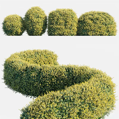 Decorative Trimmed Bushes Round and Spiral Shaped for Garden Landscaping 3d model